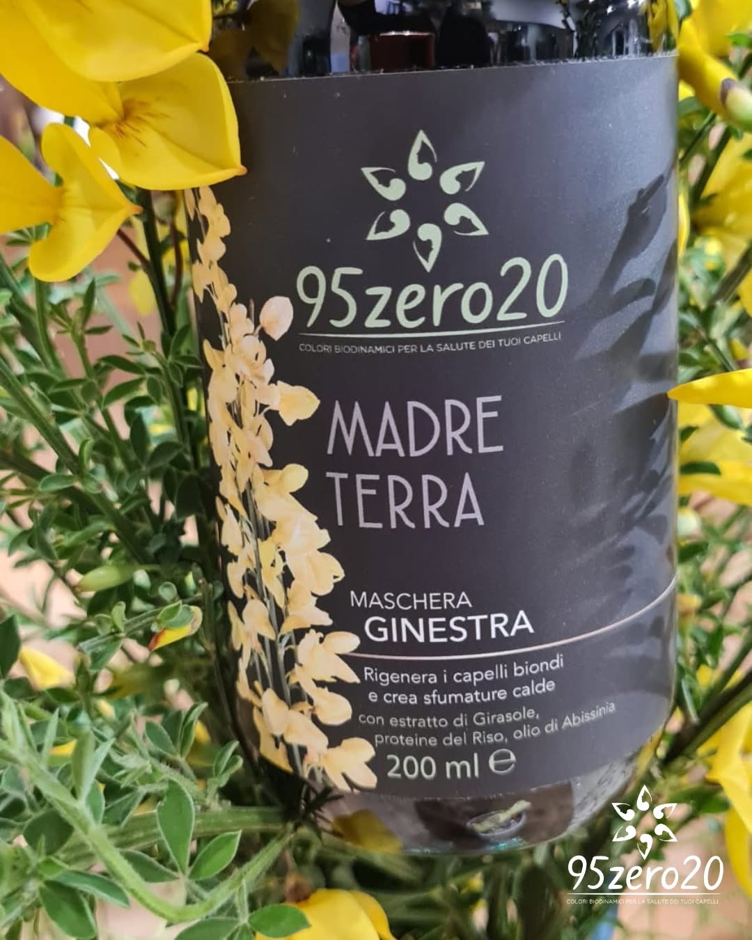 Madre Terra Ginestra — 95zero20
